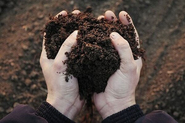 اصلاح و تقویت خاک برای کاشت نهال