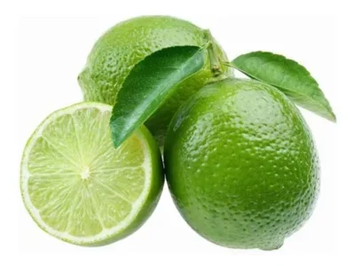 نهال لیمو ترش پرشین لایم نهال لیمو ترش پرشین لایم