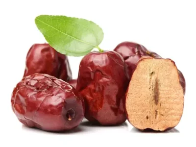 نهال عناب پیوندی نهال عناب پیوندی