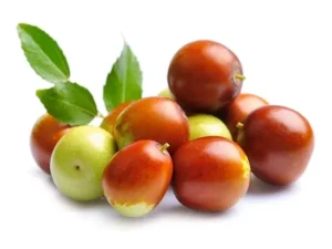 نهال عناب ارمنی نهال عناب ارمنی