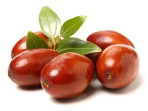 نهال عناب بیرجند نهال عناب بیرجند