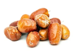 نهال سنجد دره وار نهال سنجد دره وار