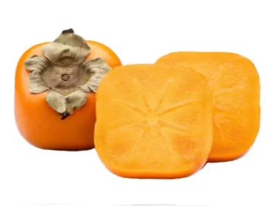 نهال خرمالو مکعبی نهال خرمالو مکعبی