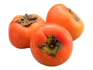 نهال خرمالو تریومف نهال خرمالو تریومف