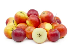 نهال سیب گیلاسی نهال سیب گیلاسی