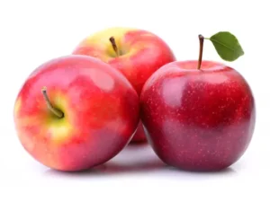 نهال سیب تک شاخ نهال سیب تک شاخ