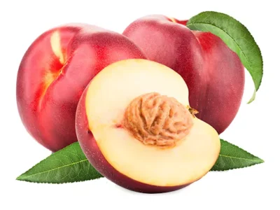 نهال شلیل پایه کوتاه جی ان نهال شلیل پایه کوتاه جی ان