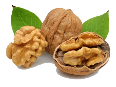 نهال گردو ژنوتیپ تیپ 1
