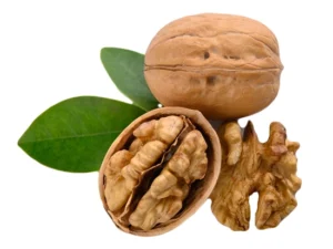 نهال گردو ژنوتیپ تیپ 2 نهال گردو ژنوتیپ تیپ 2