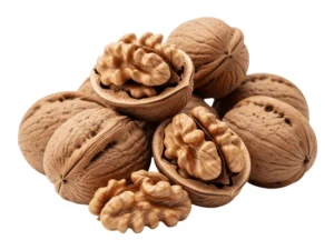 نهال گردو خوشه ای پیوندی نهال گردو خوشه ای پیوندی
